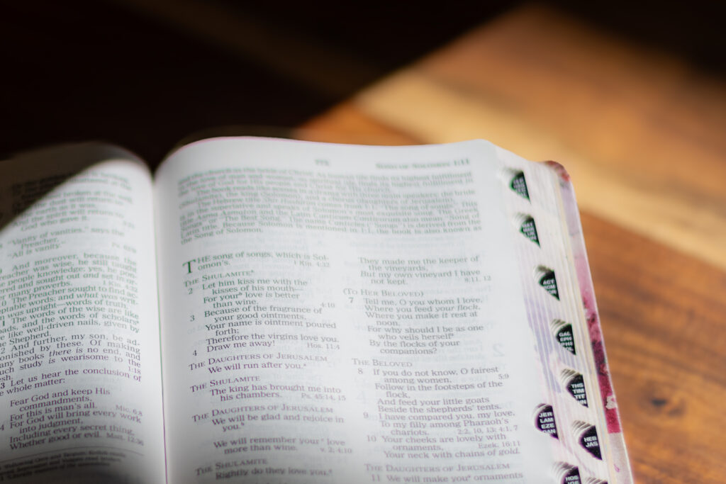 womens bible study learn to study the bible many hands light work