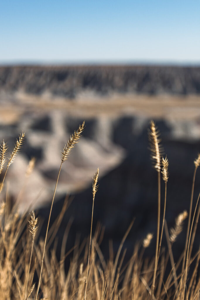 praying for friends in trial