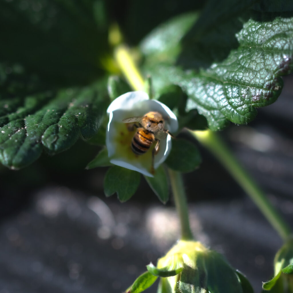 reflect on your nature