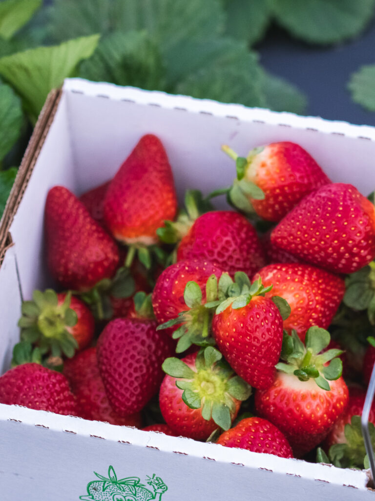 study the fruit of the spirit