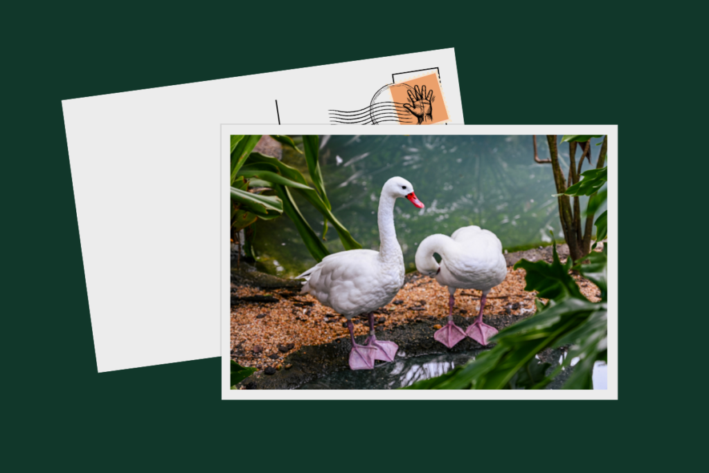 postcard project mhlw